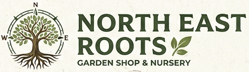 North East Roots
